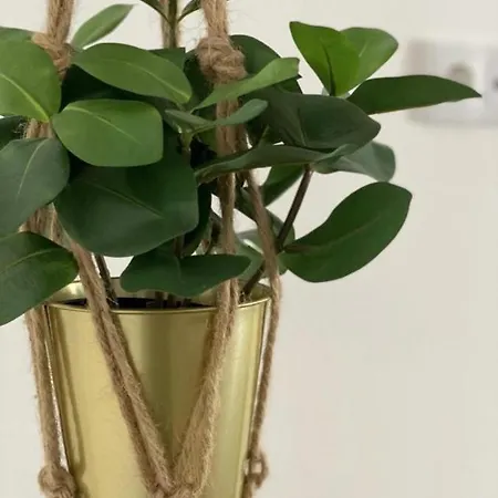 Nayjay Staycation Apartment *